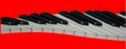 logo11.jpg